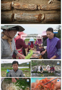 팔도밥상.E423.251115.720p-F1RST