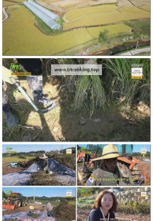 2TV 생생정보.E2402.251028.1080p-F1RST